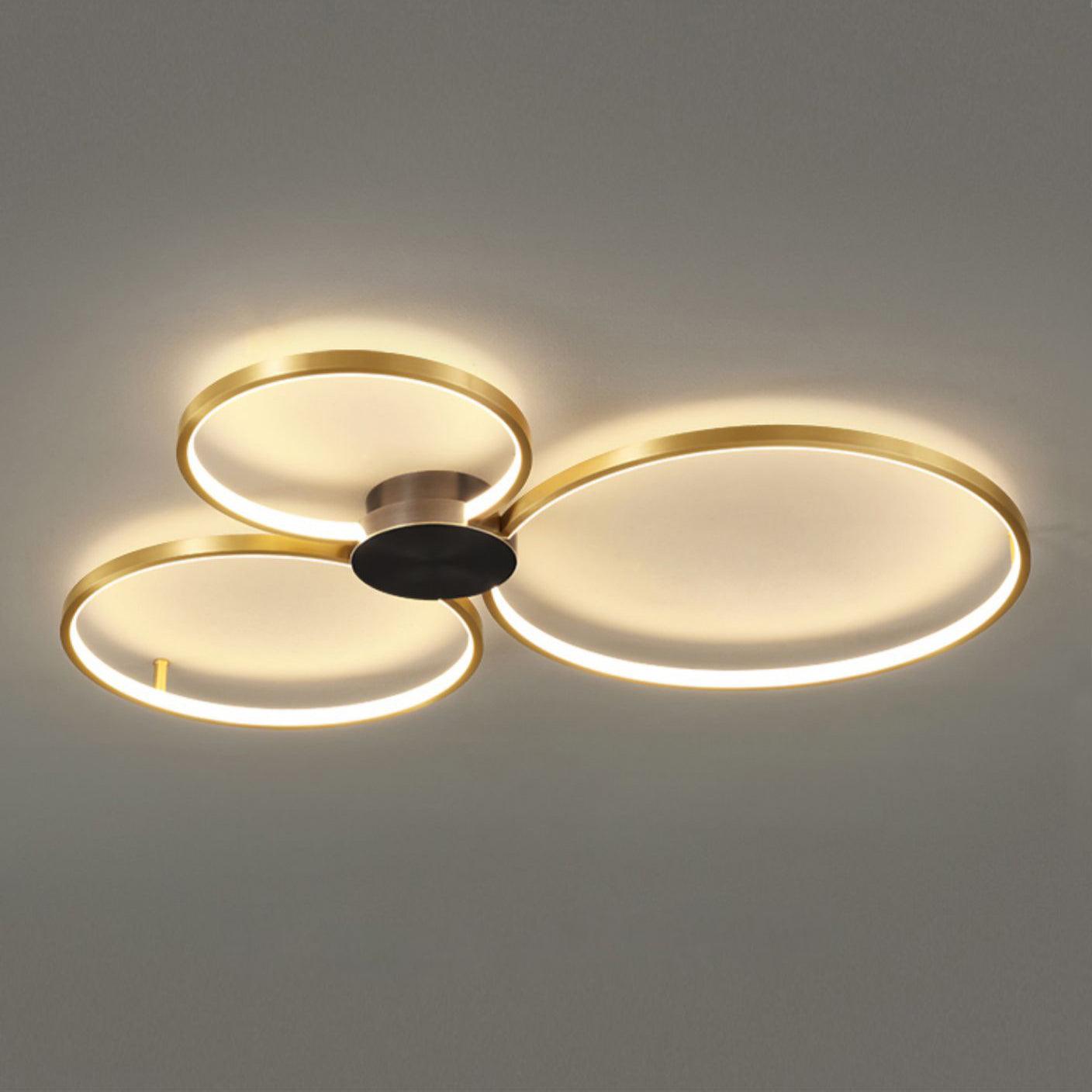 Loop LED Ceiling fixture Ceiling Light