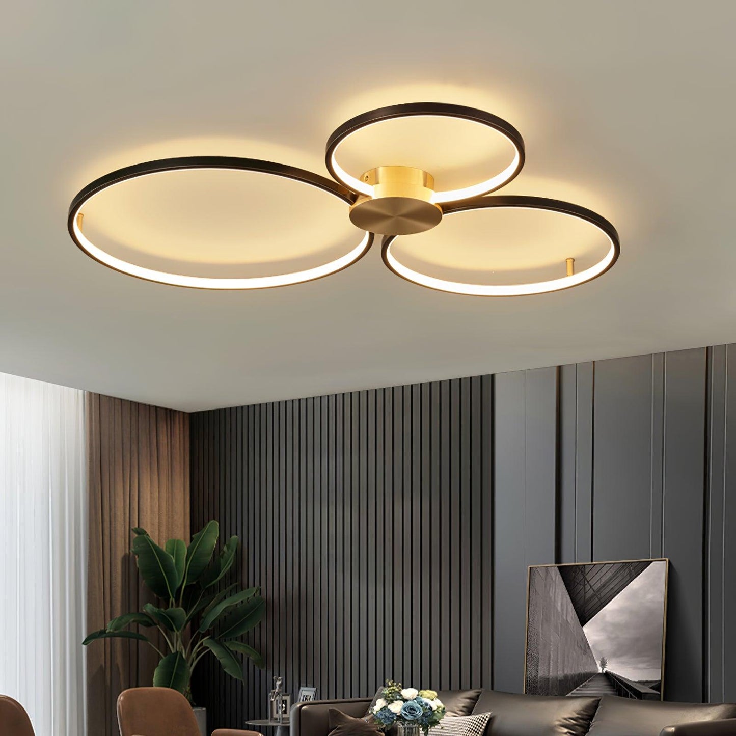 Loop LED Ceiling fixture Ceiling Light