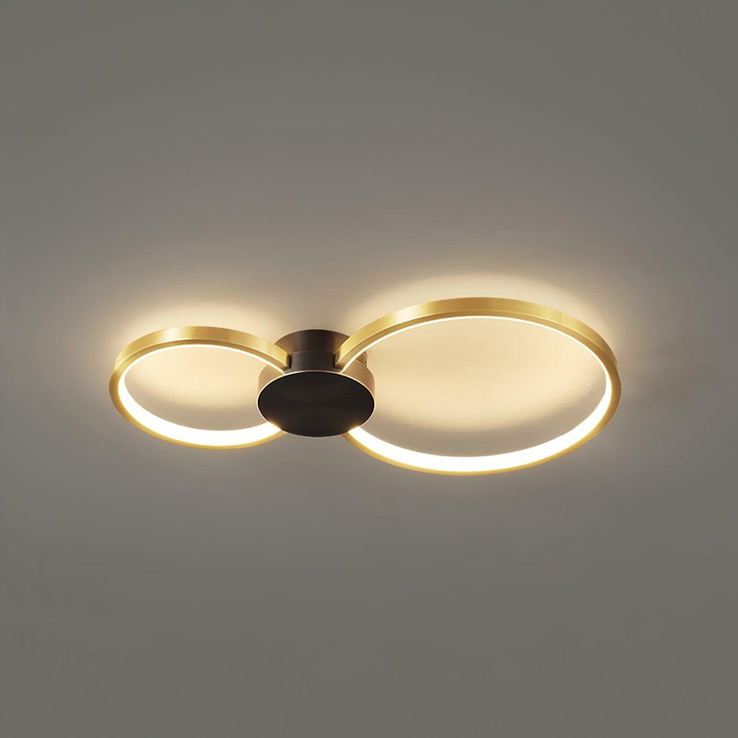 Loop LED Ceiling fixture Ceiling Light