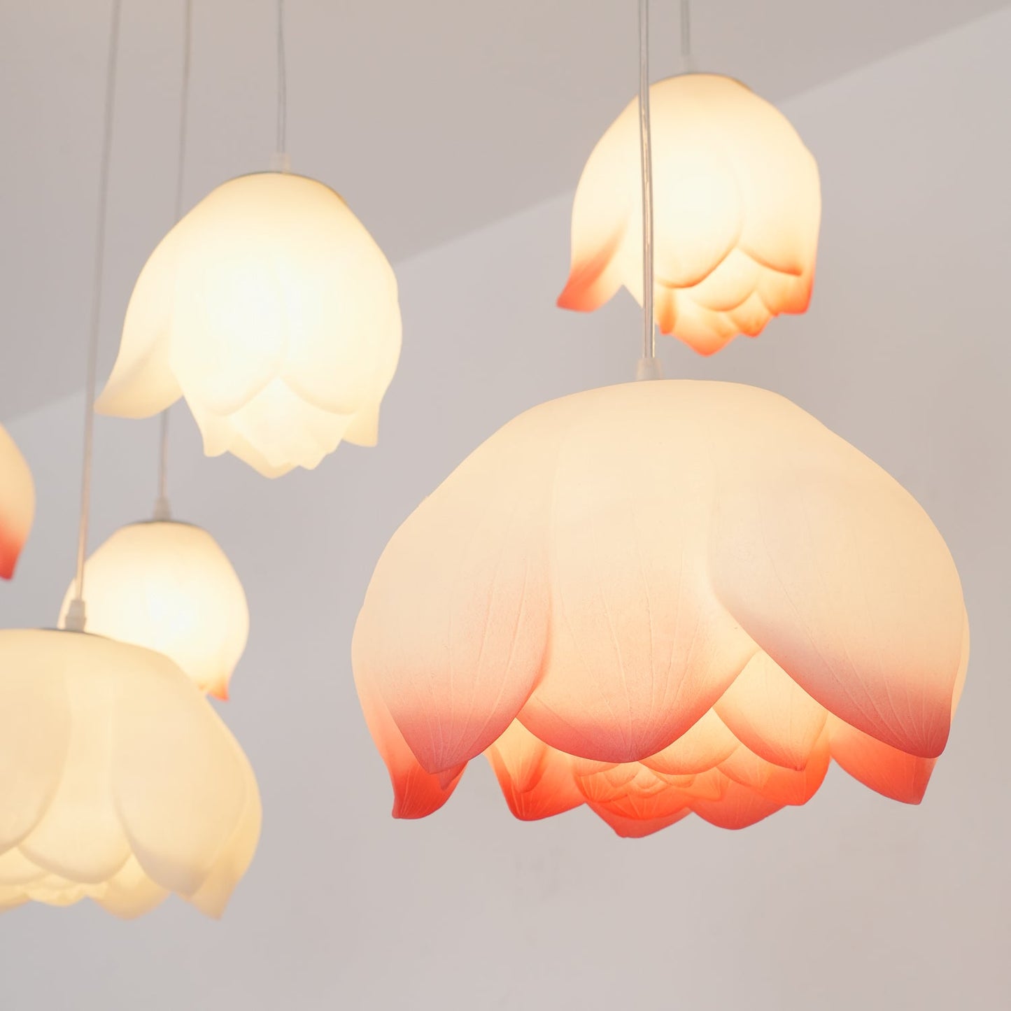 Lotus Pendant light Chandelier