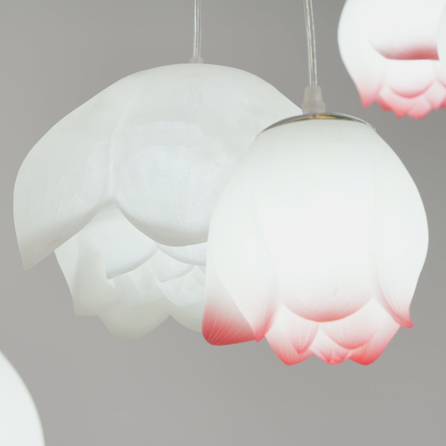 Lotus Pendant light Chandelier