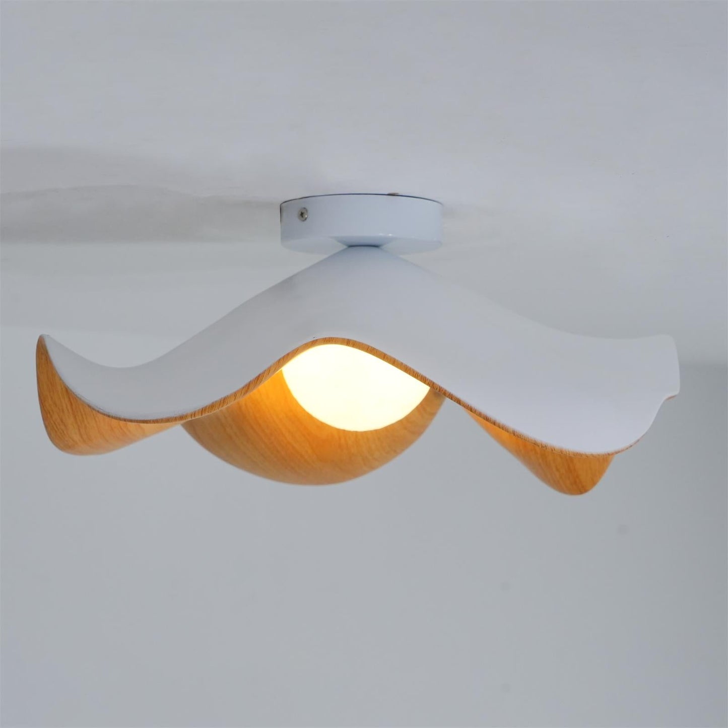 Lotus Leaf Ceiling-mounted light Ceiling Lamp