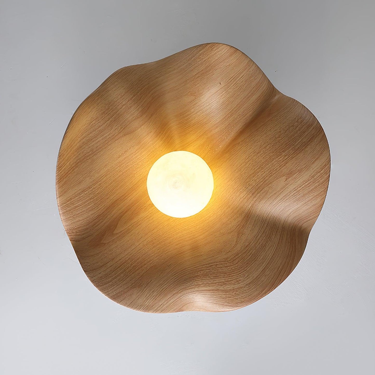 Lotus Leaf Ceiling-mounted light Ceiling Lamp