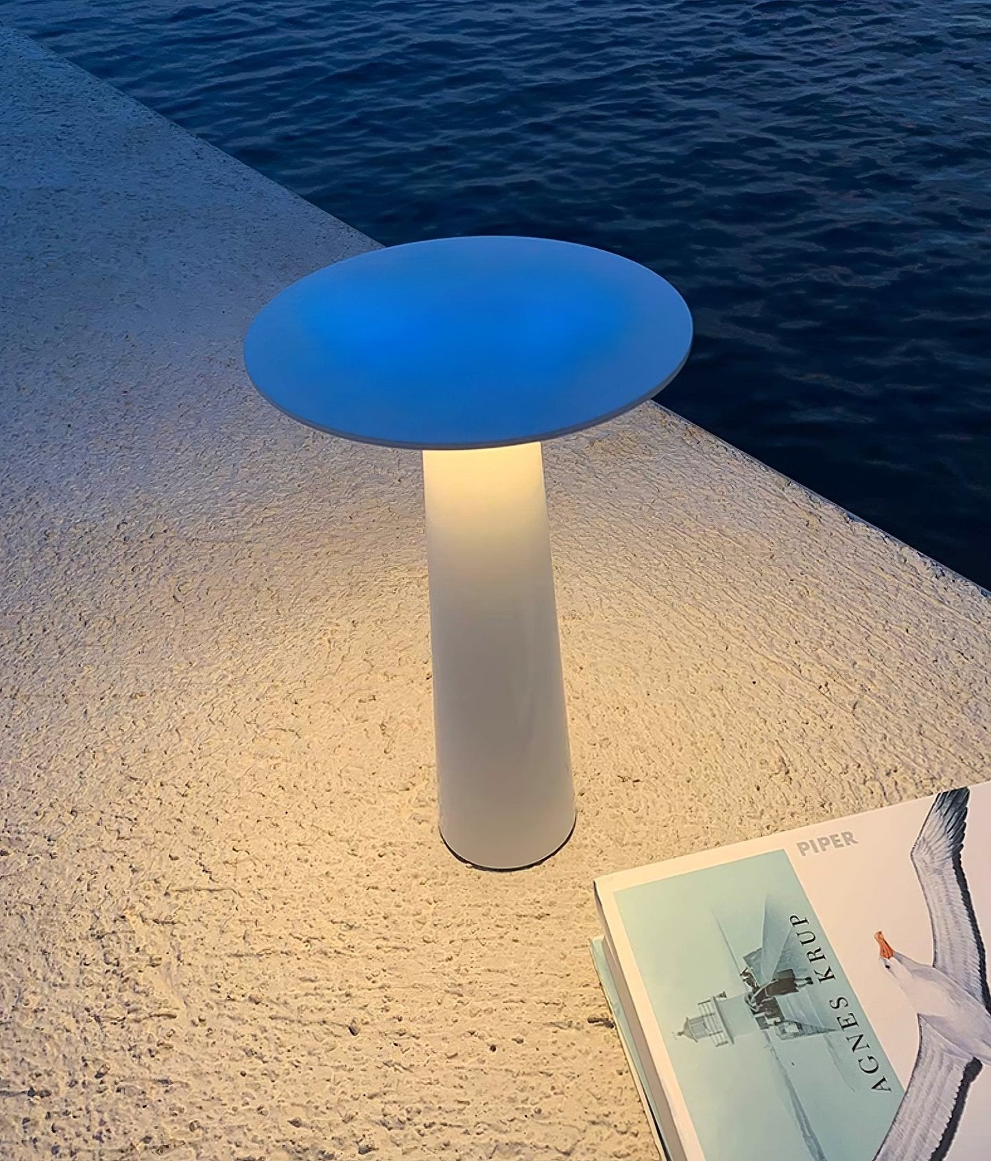 Luma Disk Outdoor Table Light