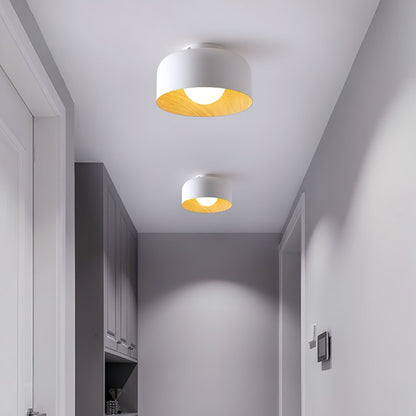 Lumosphere Ceiling-mounted light Ceiling Light