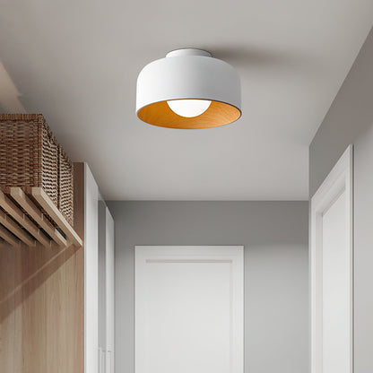 Lumosphere Ceiling-mounted light Ceiling Light