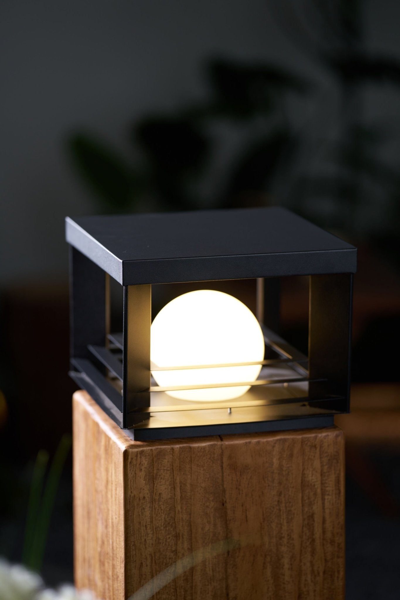 Lunar Crate Outdoor Lamp