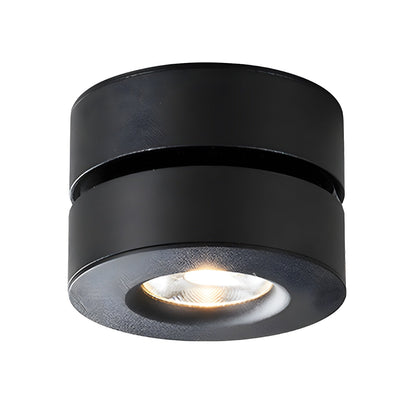 Lyric Adjustable Surface Ceiling fixture Downlight