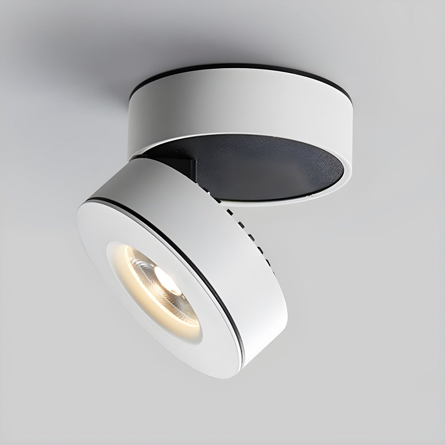 Lyric Adjustable Surface Ceiling fixture Downlight