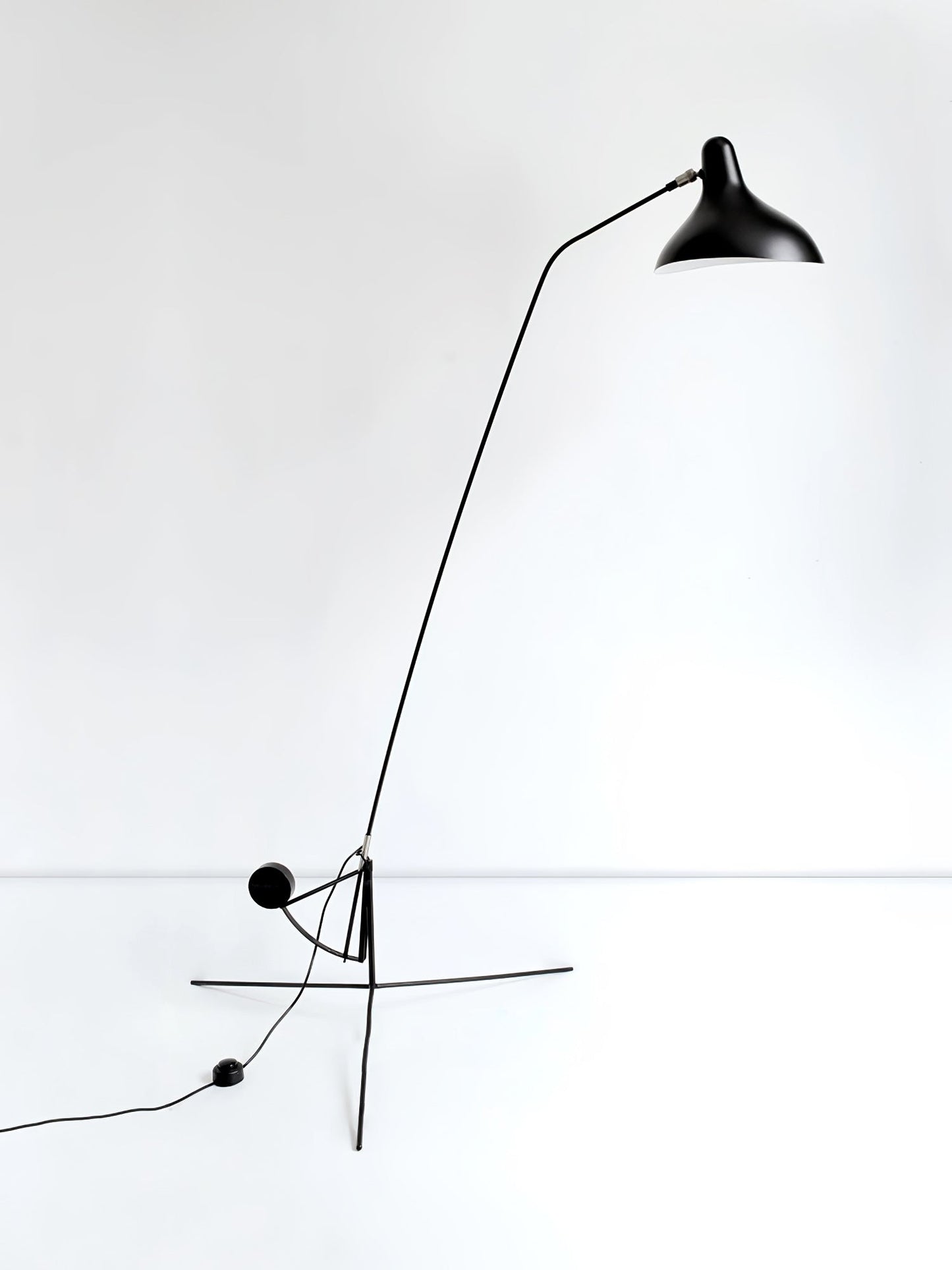 Mantis Arm Tall Lamp Floor Lamp