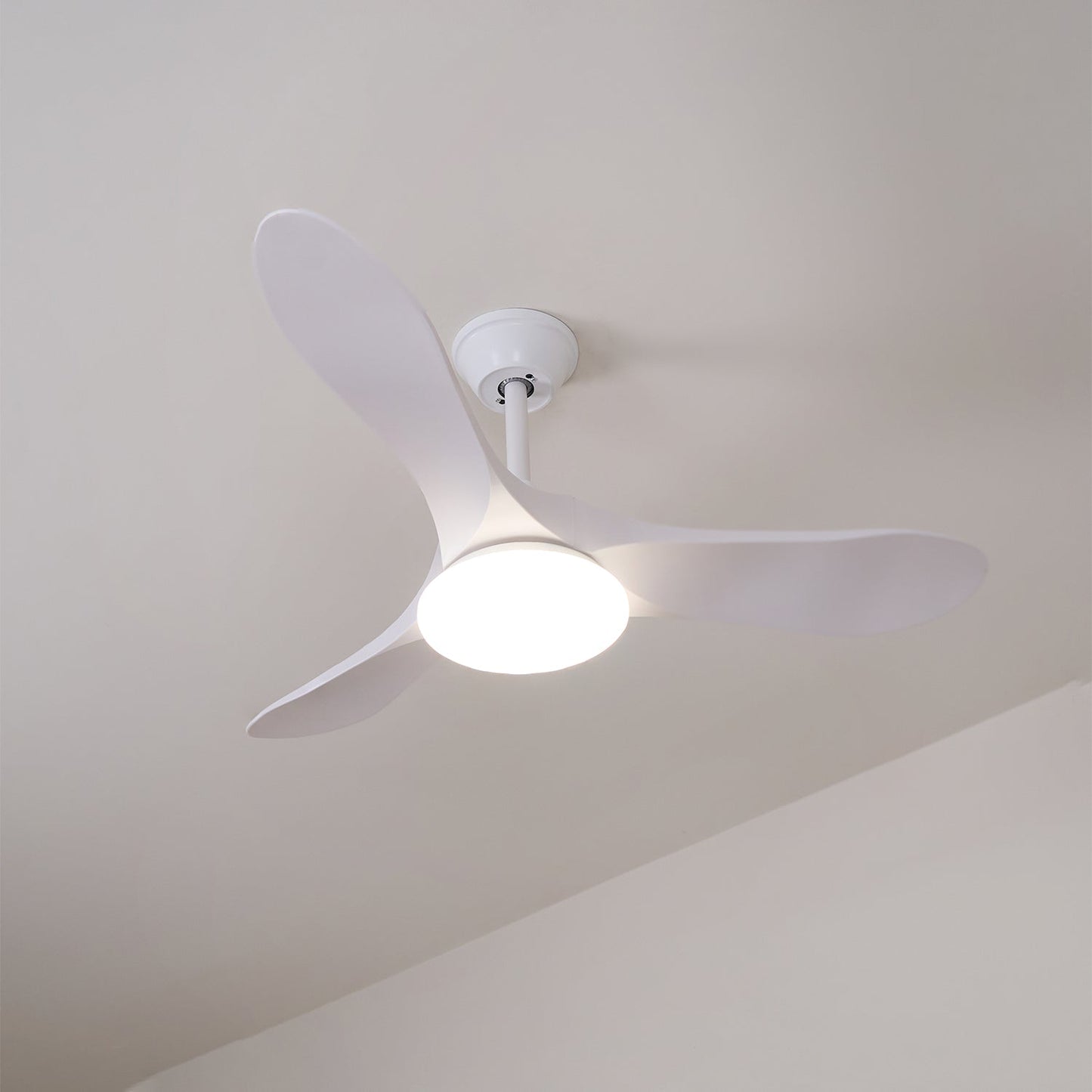 Maverick 42"/52" Ceiling light Ceiling Fan Light