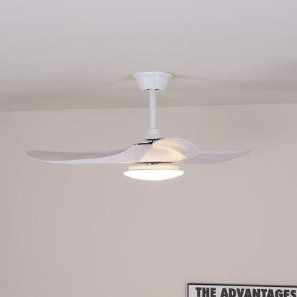Maverick 42"/52" Ceiling light Ceiling Fan Light
