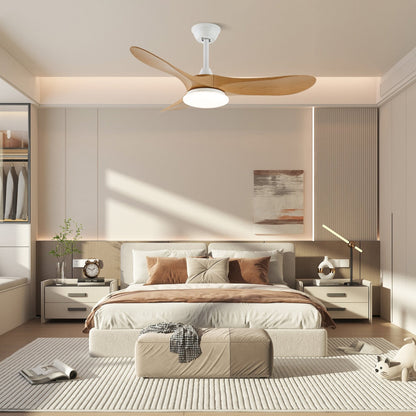 Virelo 42"/52" Ceiling Fan Light