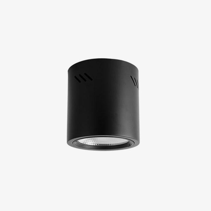 Maxi Rebel Overhead light Spotlight