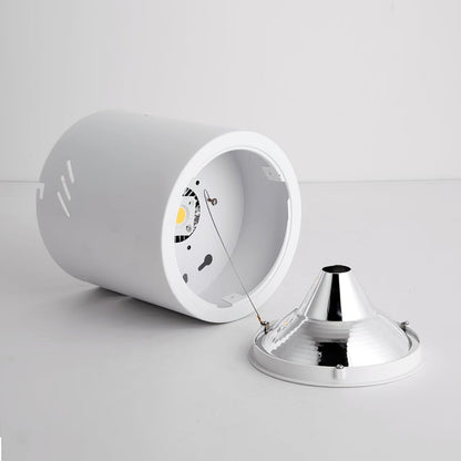 Maxi Rebel Overhead light Spotlight