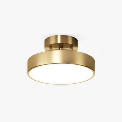 Meridian Rotatable LED Ceiling Light