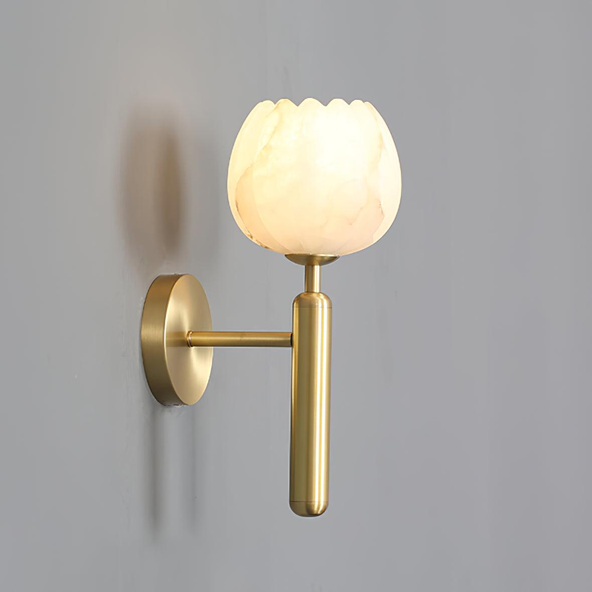 Mian Wall light fixture Wall Lamp