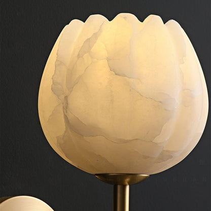 Mian Wall light fixture Wall Lamp