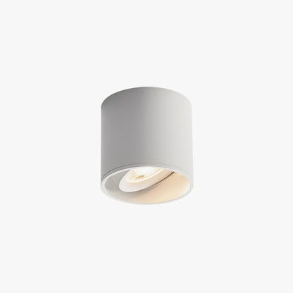 Modupoint Overhead fixture Ceiling Light