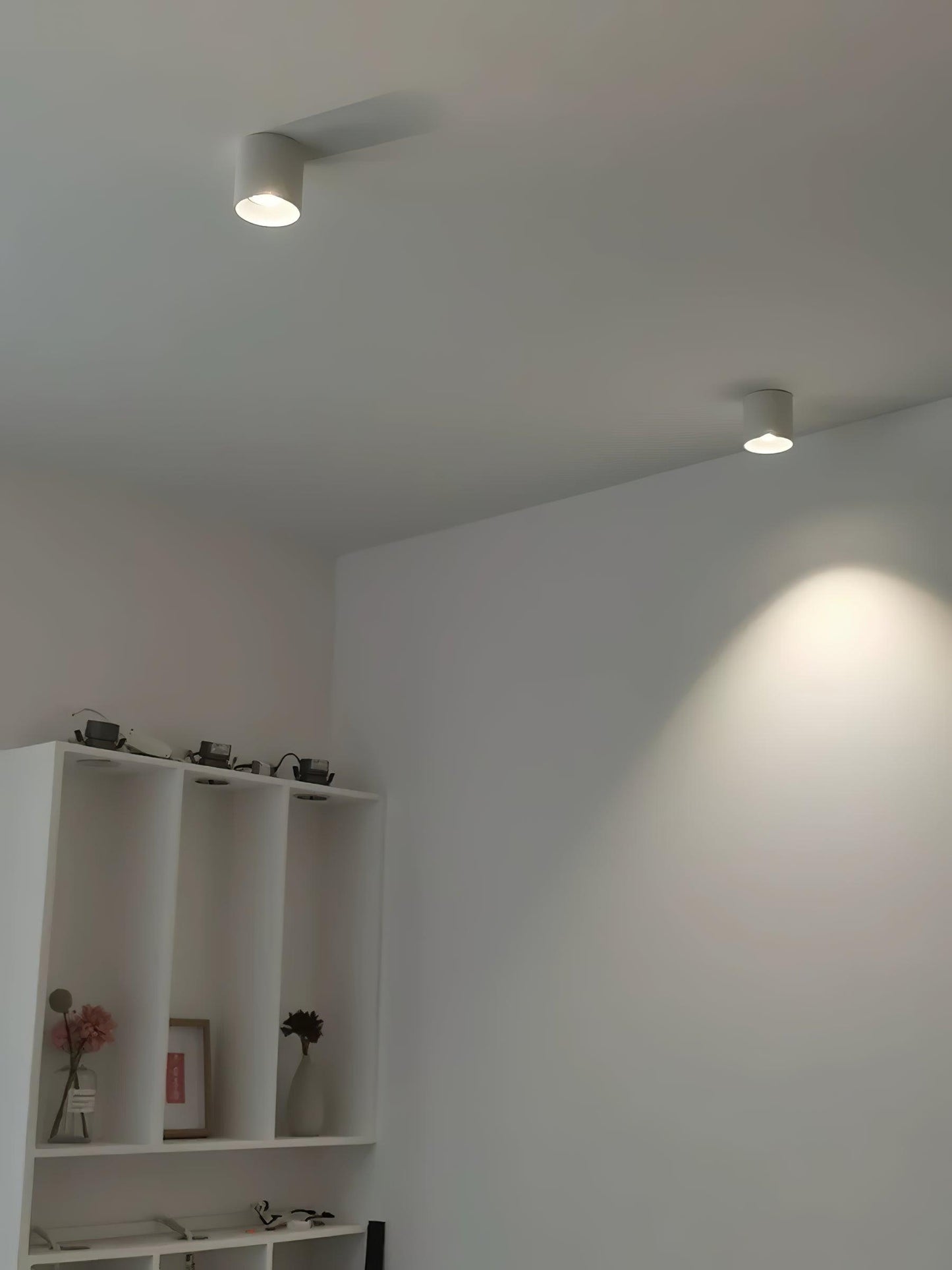 Modupoint Overhead fixture Ceiling Light