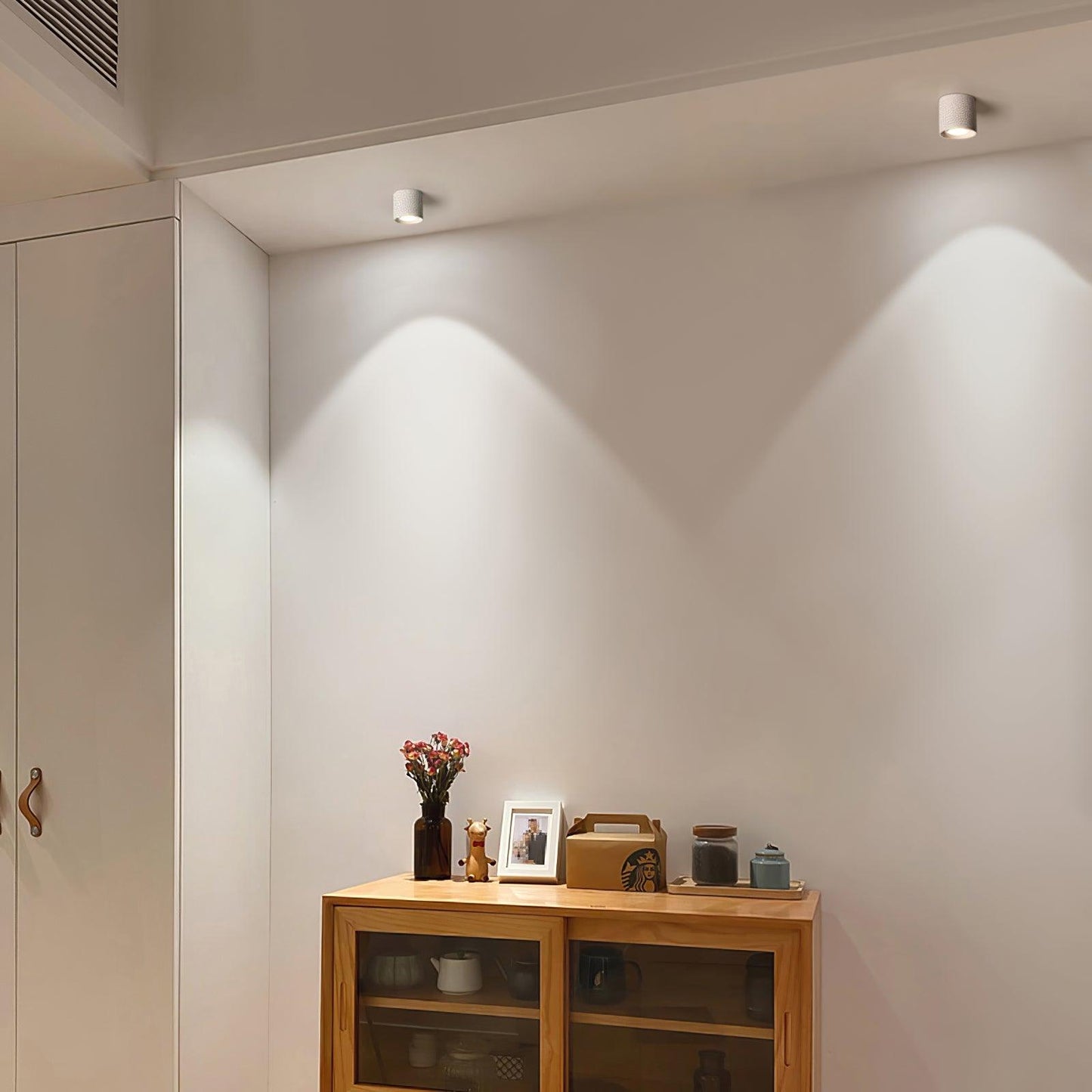 Modupoint Overhead fixture Ceiling Light