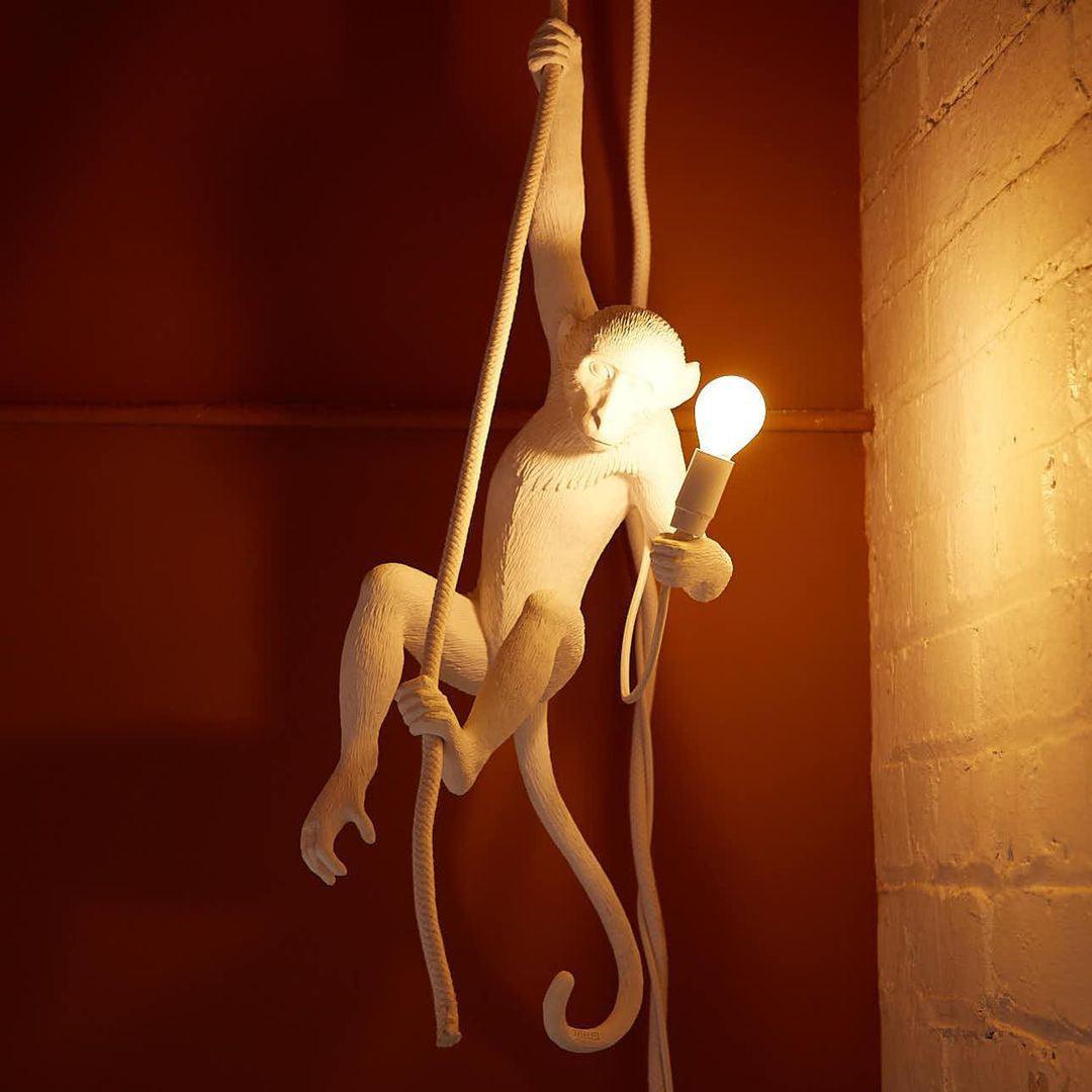 Monkey Droplight Pendant Lamp