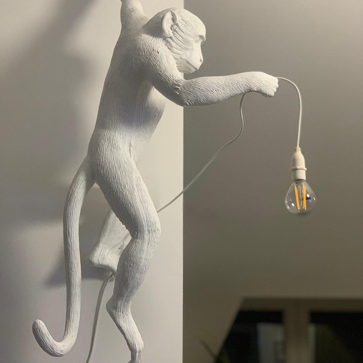 Monkey Wall-mounted light Wall Lamp