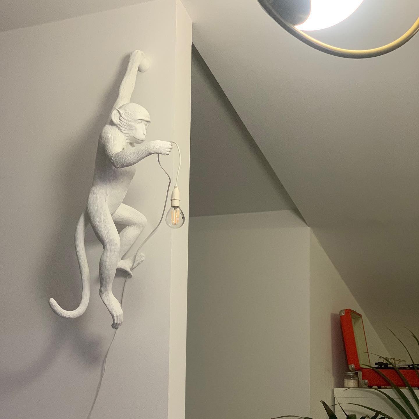 Monkey Wall-mounted light Wall Lamp