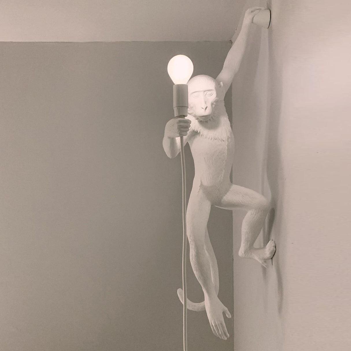 Monkey Wall-mounted light Wall Lamp