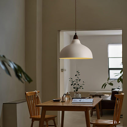 Natural Rustic Ceiling light fitting Pendant Lamp