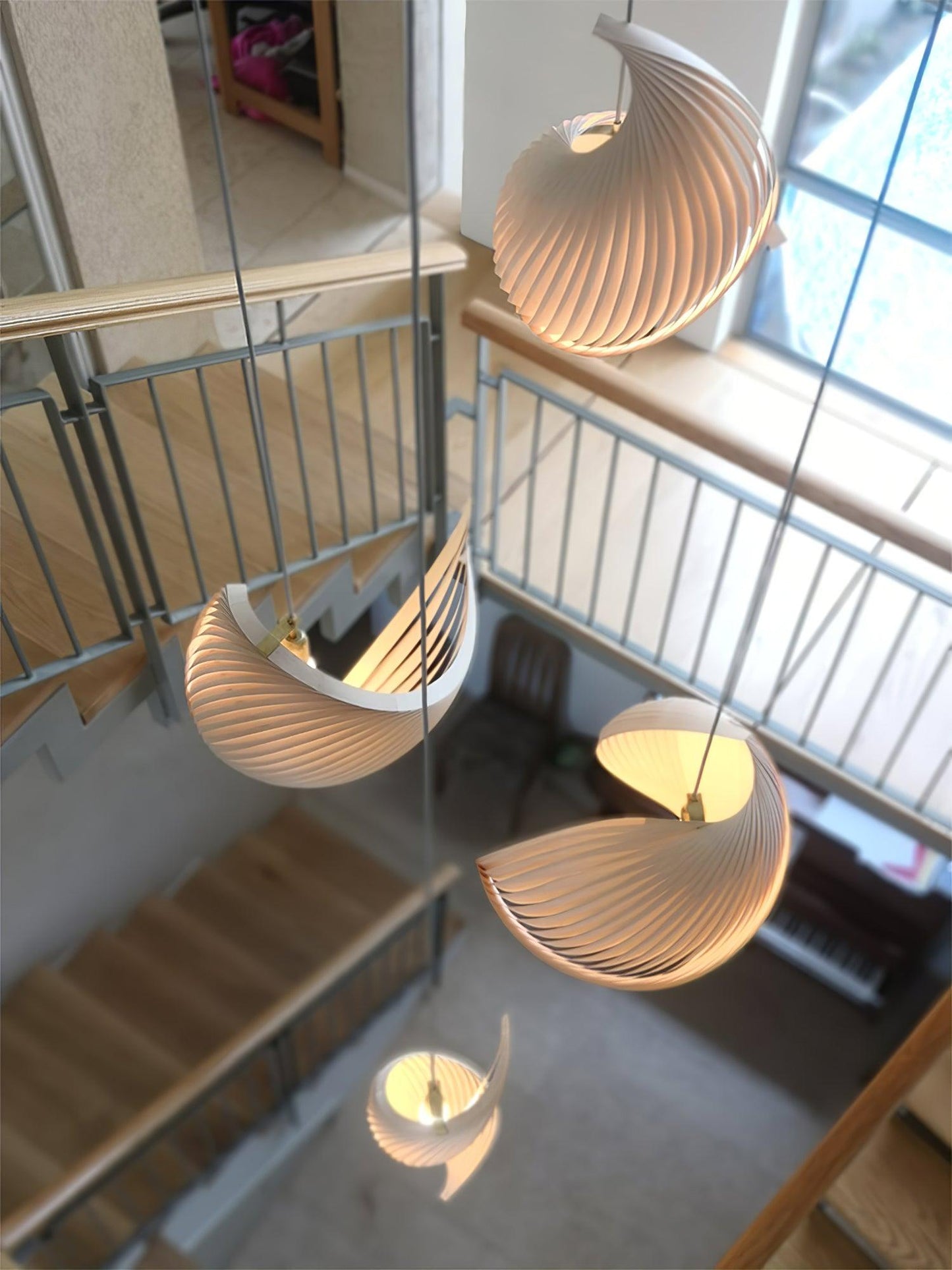 Nautilus Shell Droplight Pendant Light