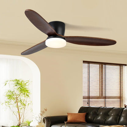Nocturnus Ceiling Fan Light