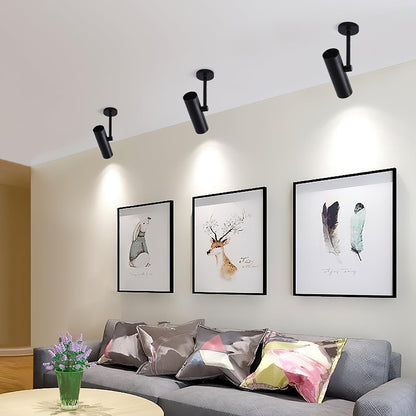 Norano Ceiling-mounted light Ceiling Light