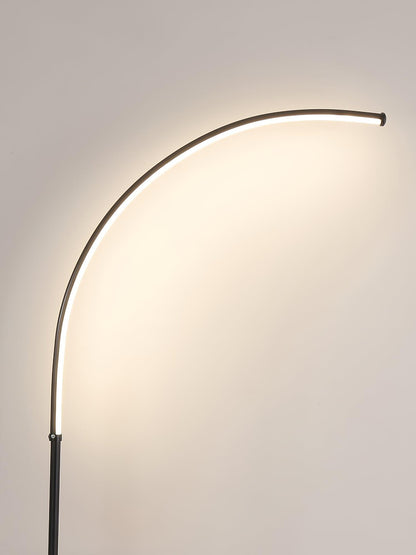 Nordic Arc Floor-mounted Lamp Floor Lamp