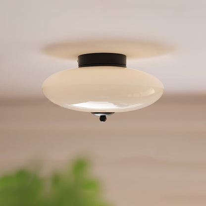 Opal Overhead fixture Ceiling Lamp