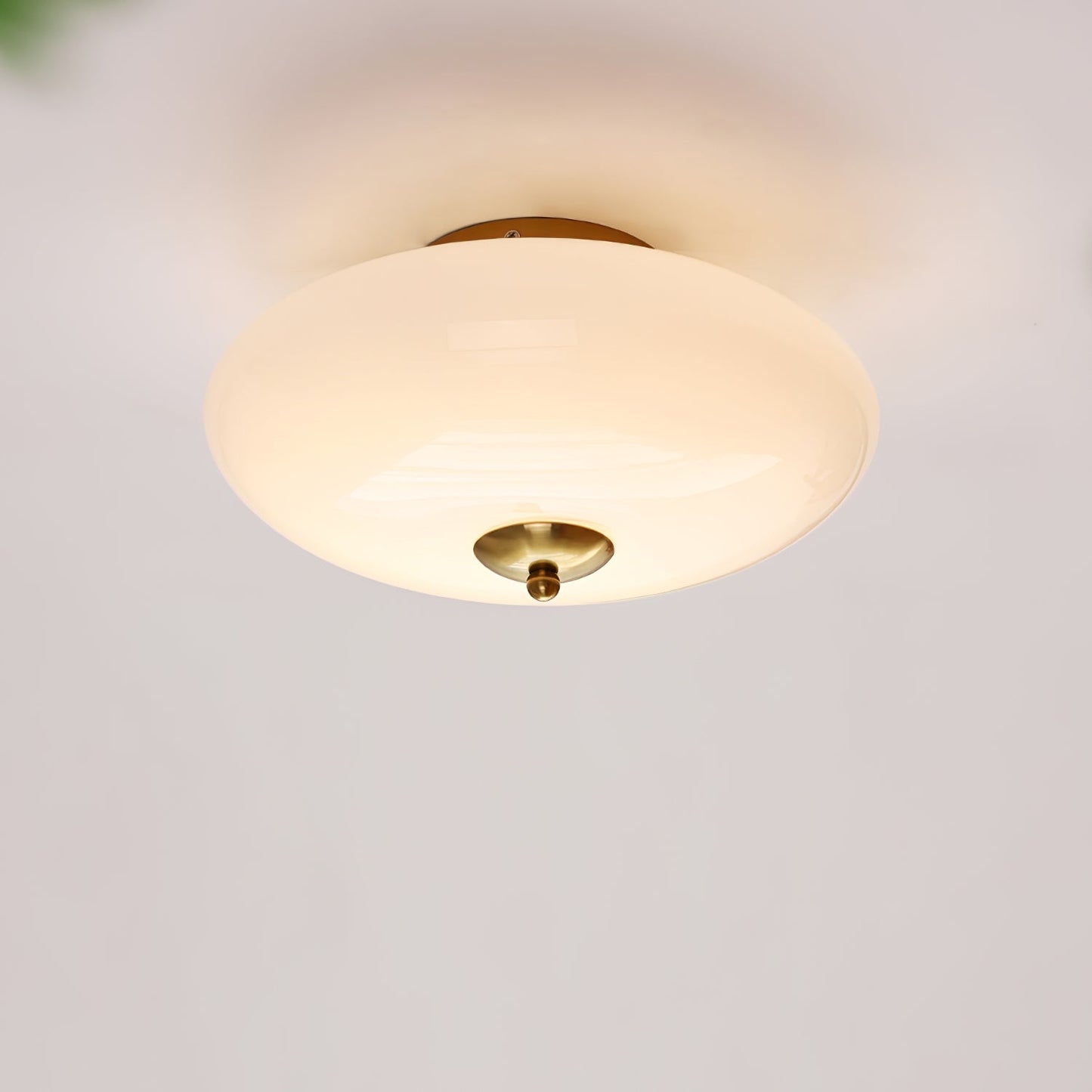 Opal Overhead fixture Ceiling Lamp