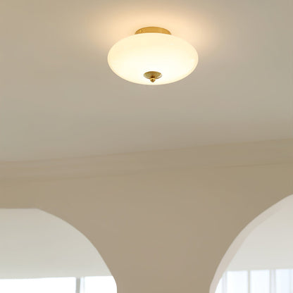 Opal Overhead fixture Ceiling Lamp