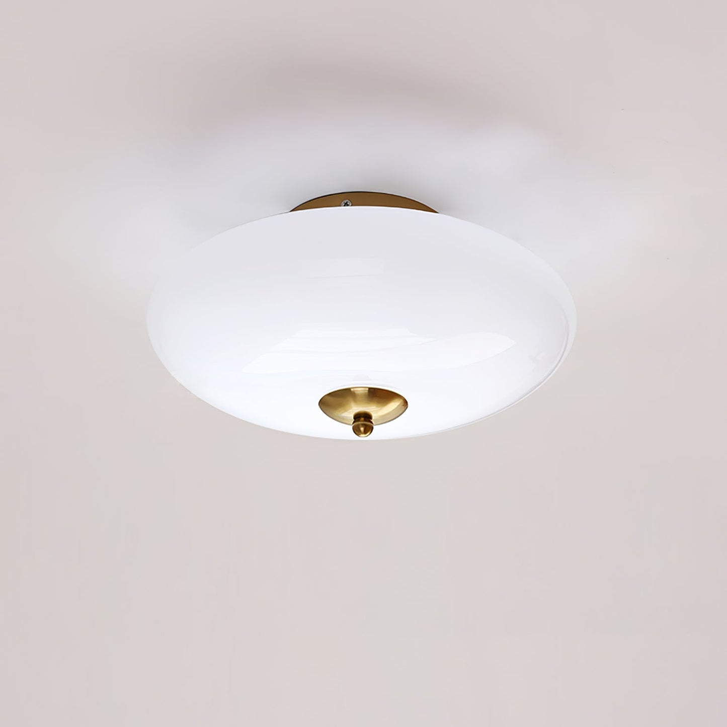 Opal Overhead fixture Ceiling Lamp