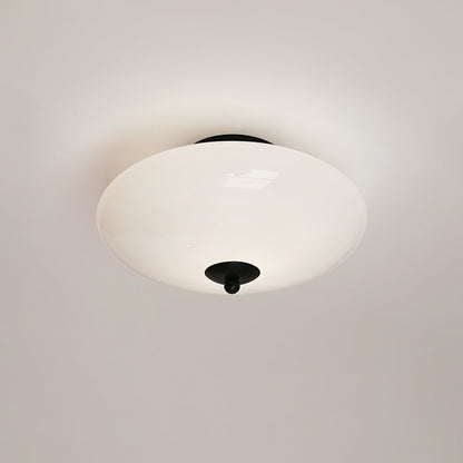 Opal Overhead fixture Ceiling Lamp