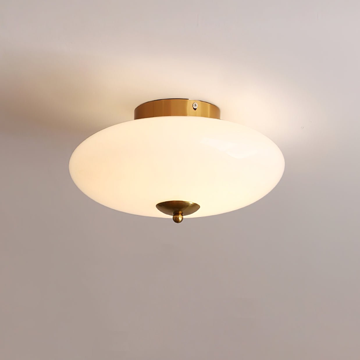 Opal Overhead fixture Ceiling Lamp