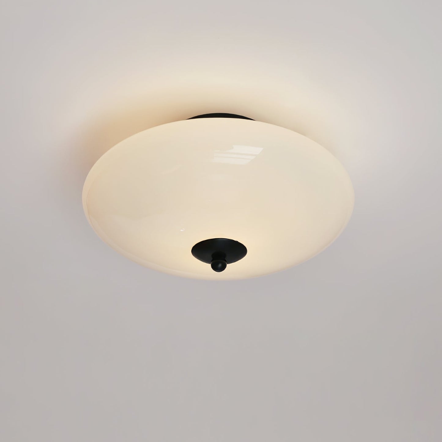 Opal Overhead fixture Ceiling Lamp