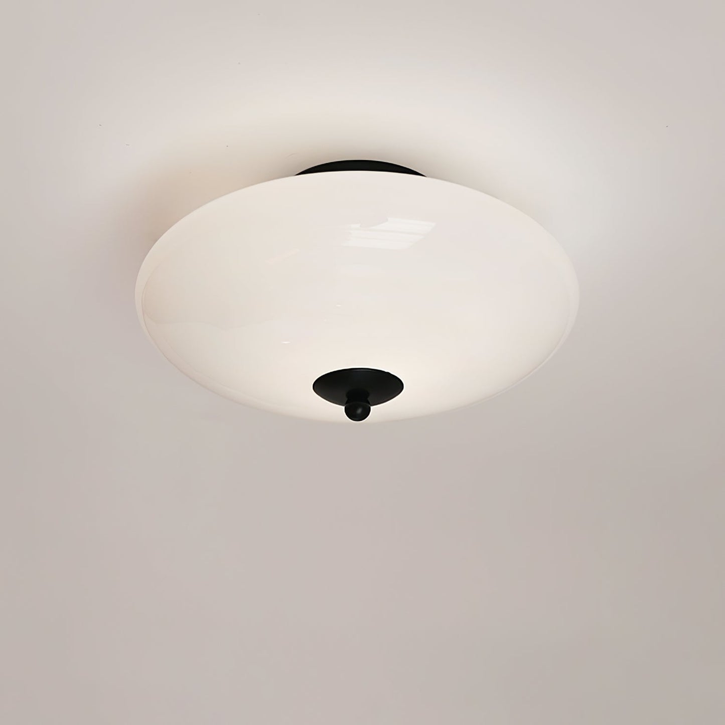 Opal Overhead fixture Ceiling Lamp