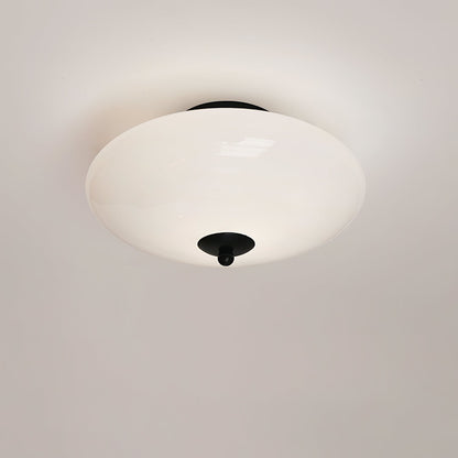 Opal Overhead fixture Ceiling Lamp