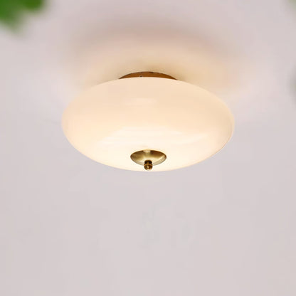 Opal Overhead fixture Ceiling Lamp