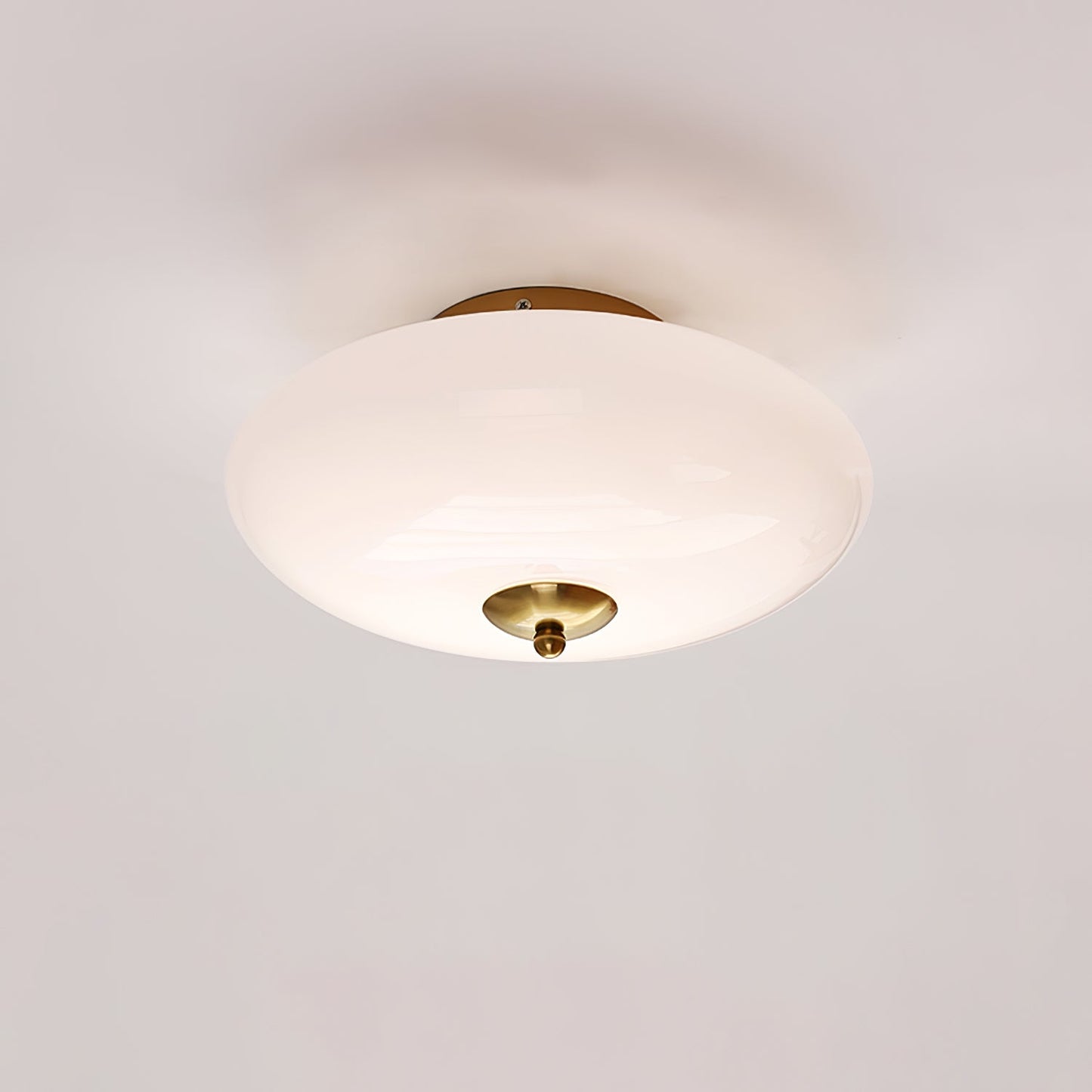 Opal Overhead fixture Ceiling Lamp