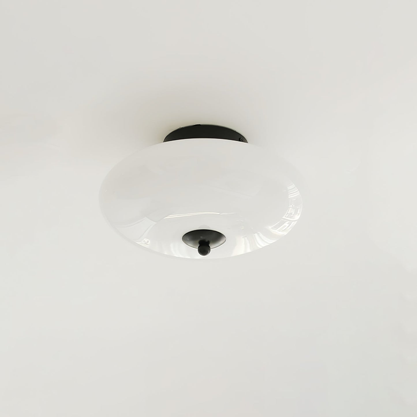 Opal Overhead fixture Ceiling Lamp