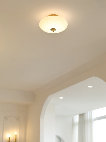 Opal Overhead fixture Ceiling Lamp