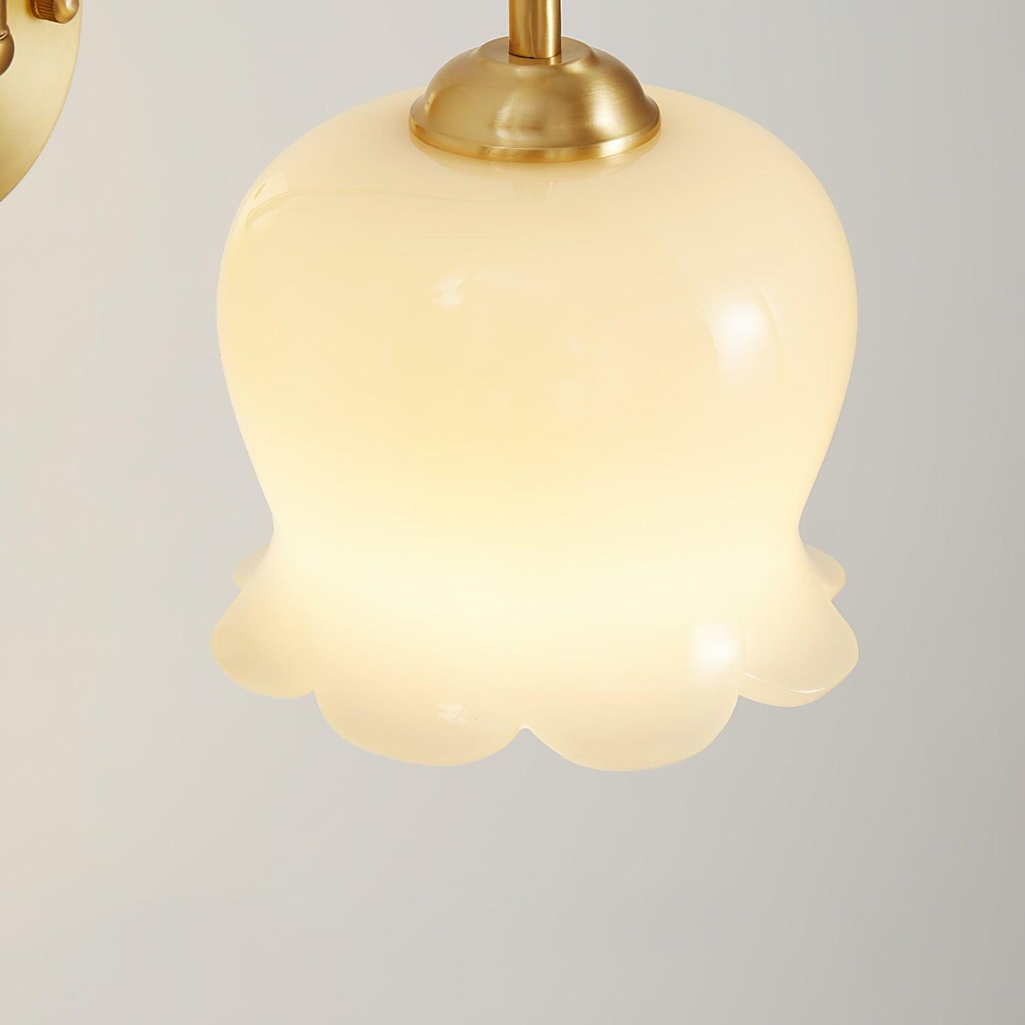 Orchids Sconce Wall Lamp