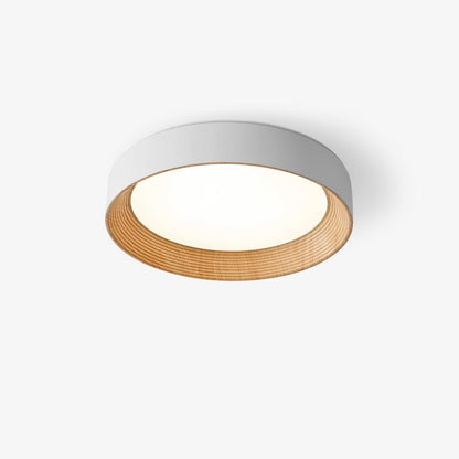 Oreen Flush mount light Ceiling Lamp