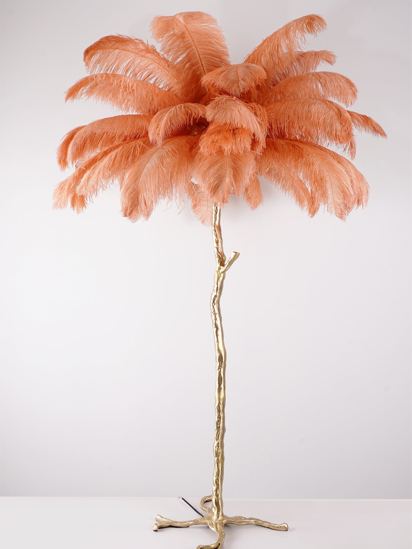 Ostrich Feather Brass Floor-mounted Lamp Floor Lamp